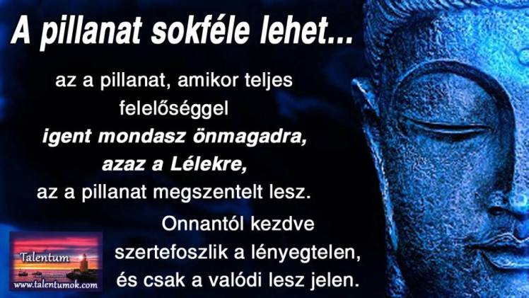 10305263_709333942480554_6970546177529603385_n